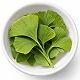 Ginkgo Biloba
